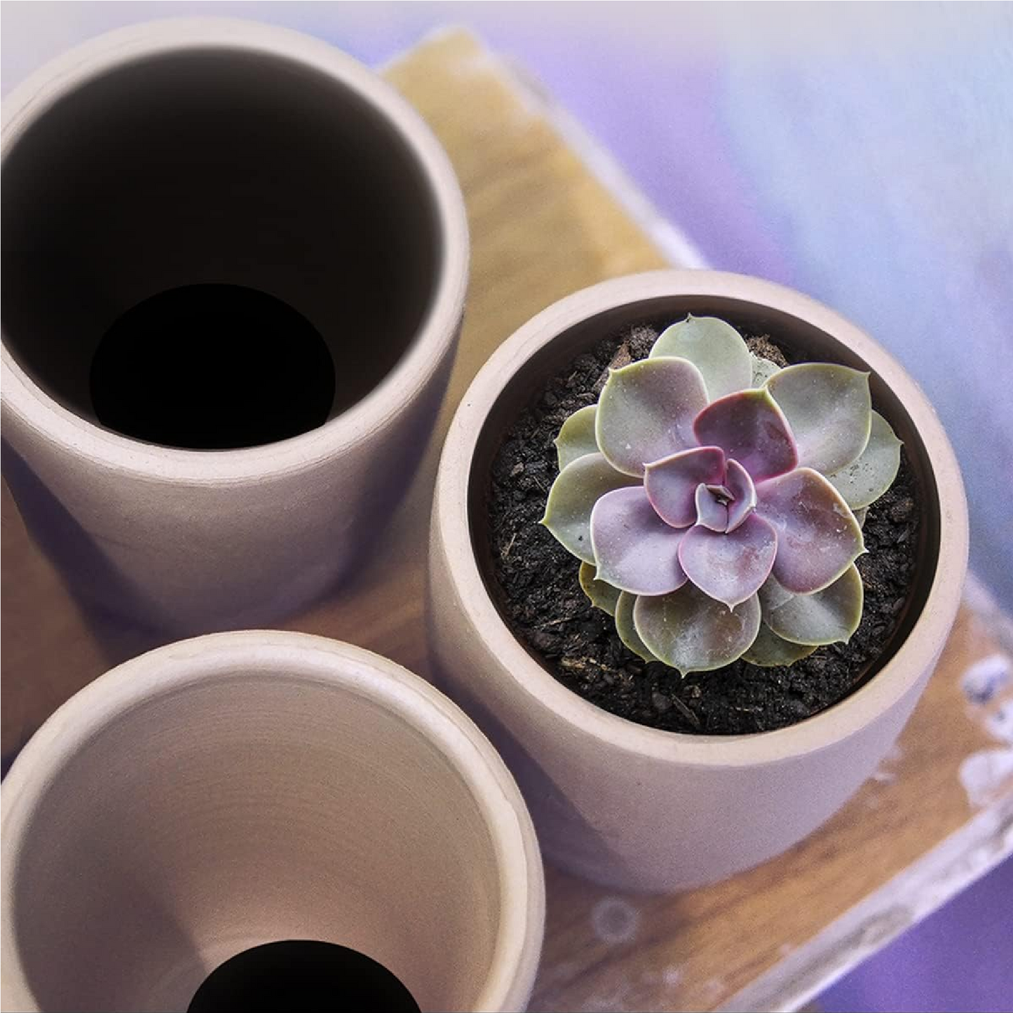 Sistema 4 En 1 Permalastik, Adhesivo y Calafateador Elástico, Cubeta 19 L