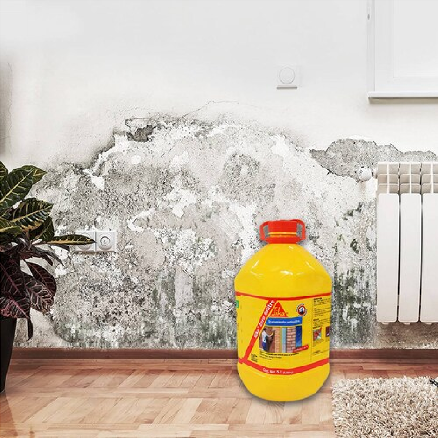 Impermeabilizante Contra Salitre P/ Muros Con Humedad Sika Zero Salitre PET, Bote 5 L