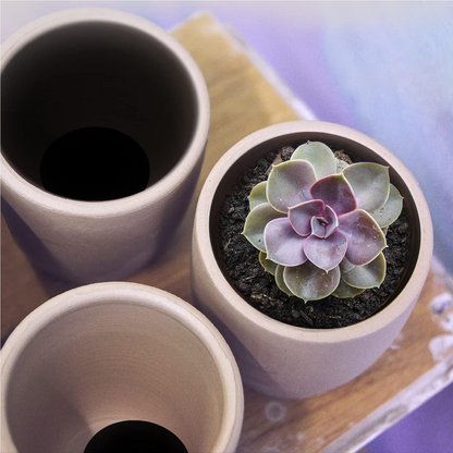 Sistema 4 En 1 Permalastik, Adhesivo y Calafateador Elástico, Cubeta 19 L